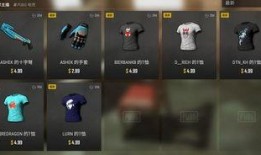 pubg最新商城爆料,PUBG商城爆料，神秘道具即将上线！